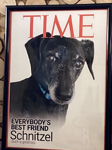 Customer photo review of Posing Pig Custom Print