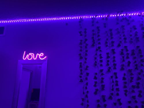 Customer photo review of Neon Love Sign