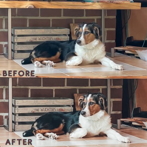 Customer photo review of SUMMER BREEZE LIGHTROOM PRESETS