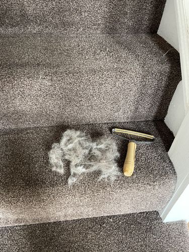 Customer photo review of Lint Swept™ Lint Roller Shaver