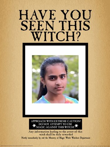Customer photo review of Free Have You Seen this Wizard Harry Potter Photo Prop
