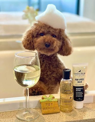 Customer photo review of Nurturing Paws Hamper