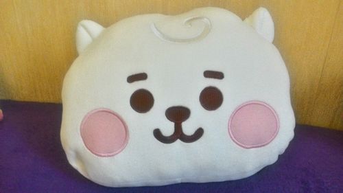Customer photo review of [Official] BT21 BABY HAND WARMER CUSHION