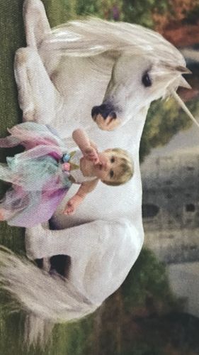 Customer photo review of Unicorn Castle