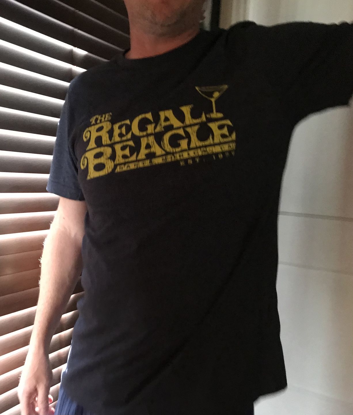 Customer photo review of Stay Gold Ponyboy Men's/Unisex Super Soft Tee
