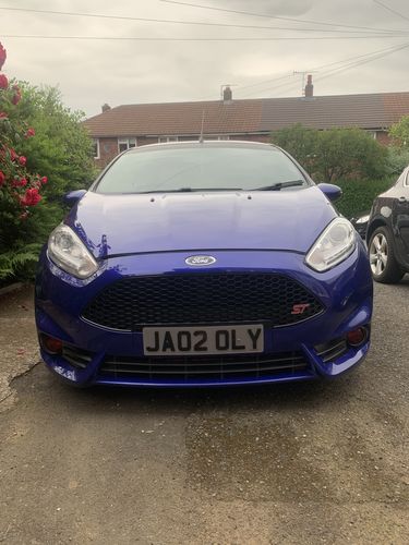 Customer photo review of Fiesta ST180 Fog Light Armour