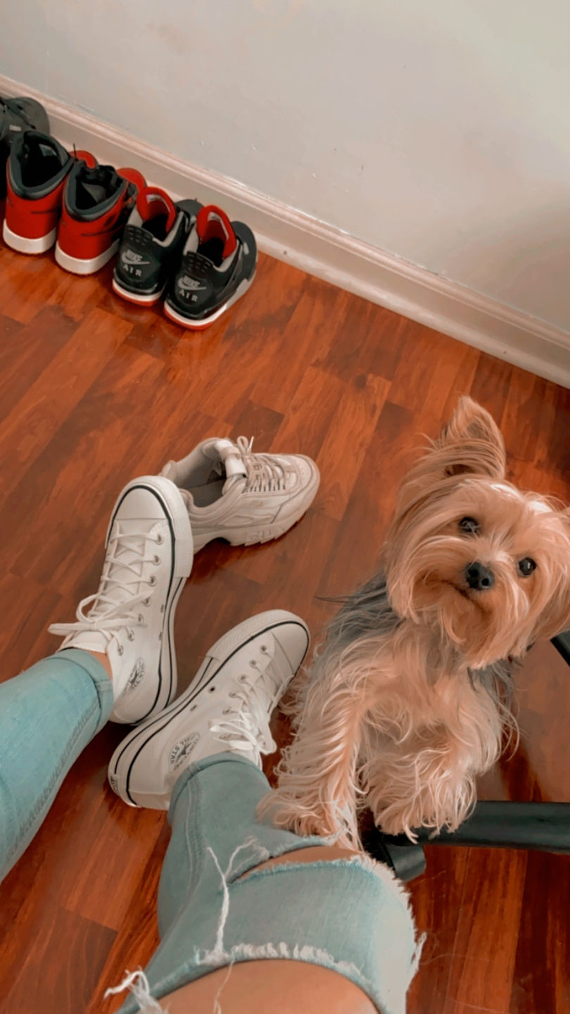 Customer photo review of Zapatilla Converse Chuck Taylor Hi Plataforma Mujer Blanco