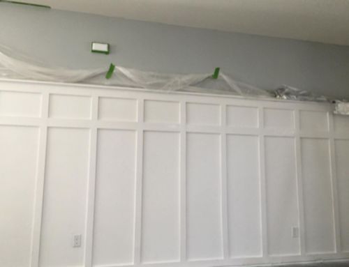 Customer photo review of EZ™️ Dual Head Airless Sprayer Extension
