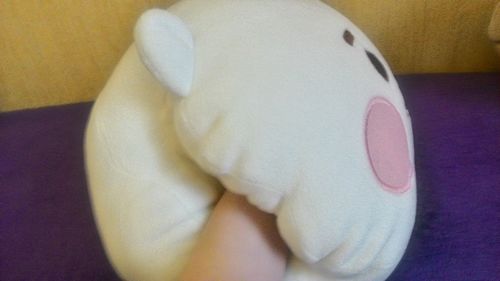 Customer photo review of [Official] BT21 BABY HAND WARMER CUSHION