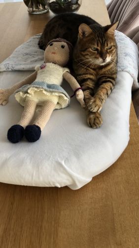 Customer photo review of Omega 3 Algenöl