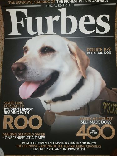 Customer photo review of Posing Pig Custom Print