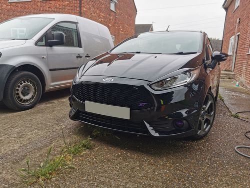 Customer photo review of Fiesta ST180 Fog Light Armour
