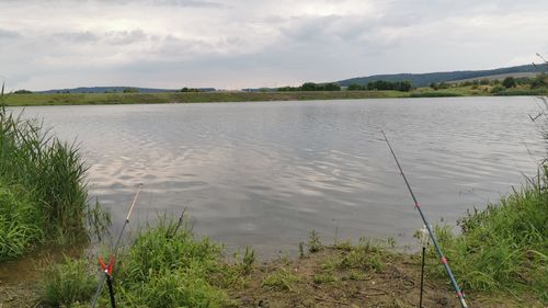 Customer photo review of 10g Smart Fishing Float