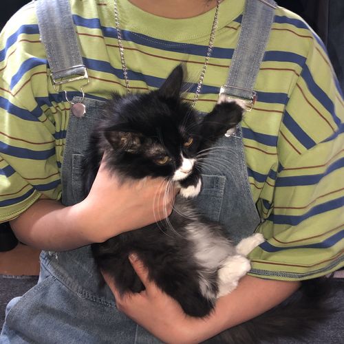 Customer photo review of Summer Air Striped T-Shirt