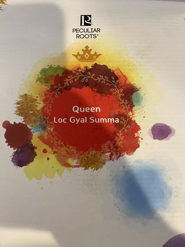 Customer photo review of Loc Gyal Summa Box (Limited Edition)