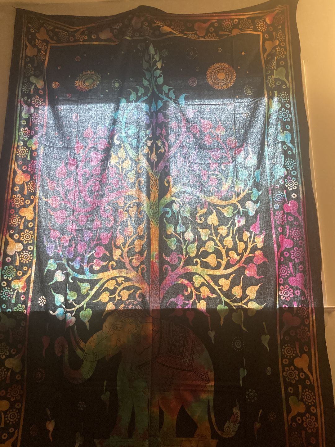 Customer photo review of Indian Dreams Tie Dye Tapestry