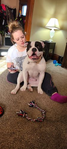 Customer photo review of Pup Wax Luxe Dog Nose Balm and Paw Wax