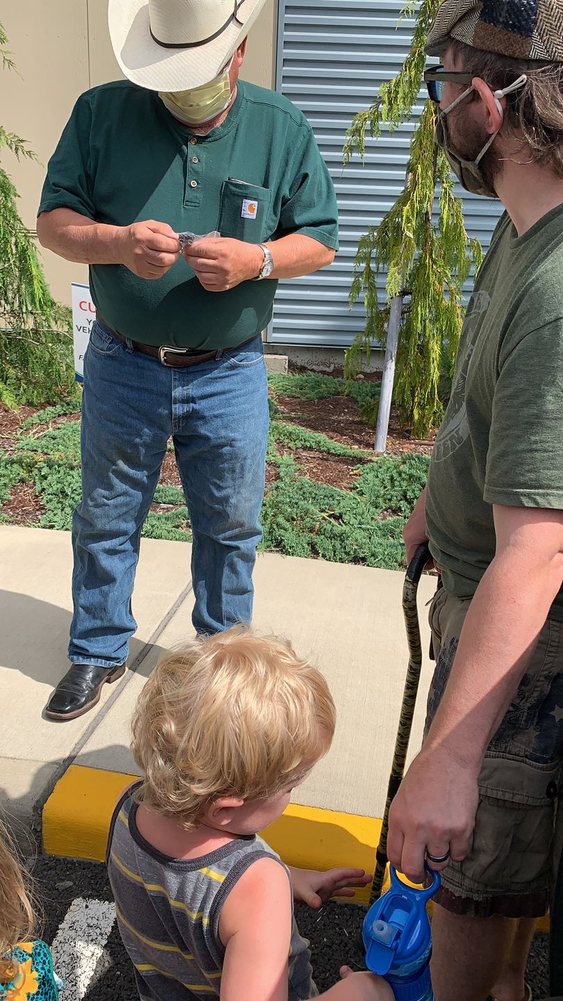 Customer photo review of Vietnam Veteran Pin