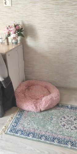 Customer photo review of Comfy Anti-Anxiety Calming Dog & Cat Donut Bed