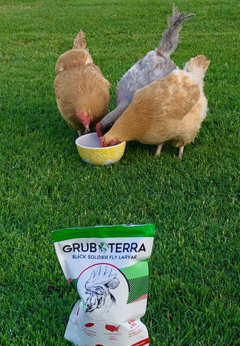 Customer photo review of GrubTerra Dried Larvae