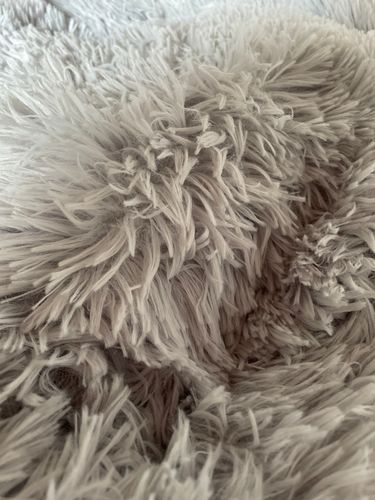 Customer photo review of Comfy Anti-Anxiety Calming Dog & Cat Donut Bed
