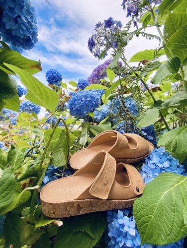 Customer photo review of Conga Slide