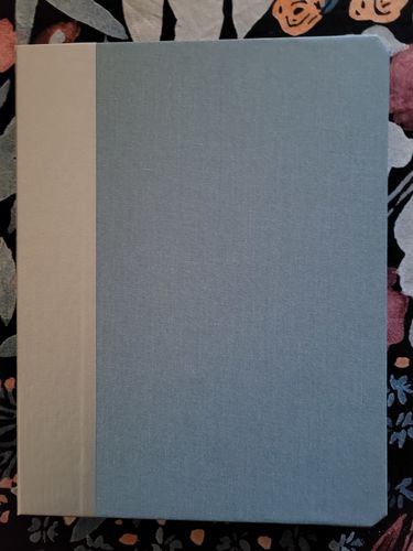 Customer photo review of Custom Case iPad 2/3/4
