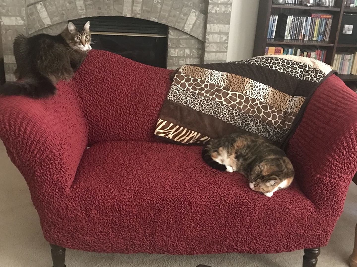 Customer photo review of Sofa 3 Seater Slipcover, Comfort Collection
