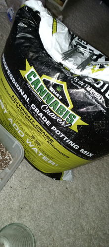 Customer photo review of Sohum Soil Organic Living Soil Just Add Water 1.5 cu ft