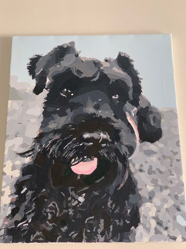 Customer photo review of Paint your photo