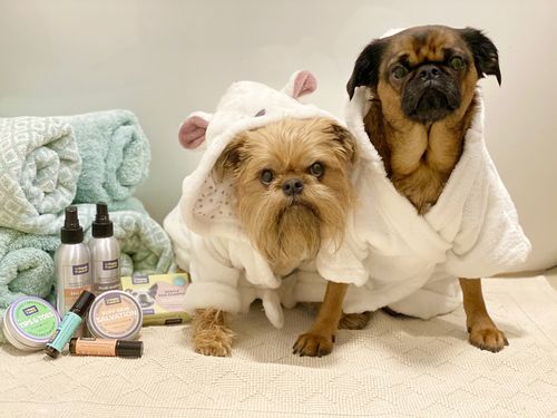 Customer photo review of Ruff Skin Salvation - Skin repair balm for dogs