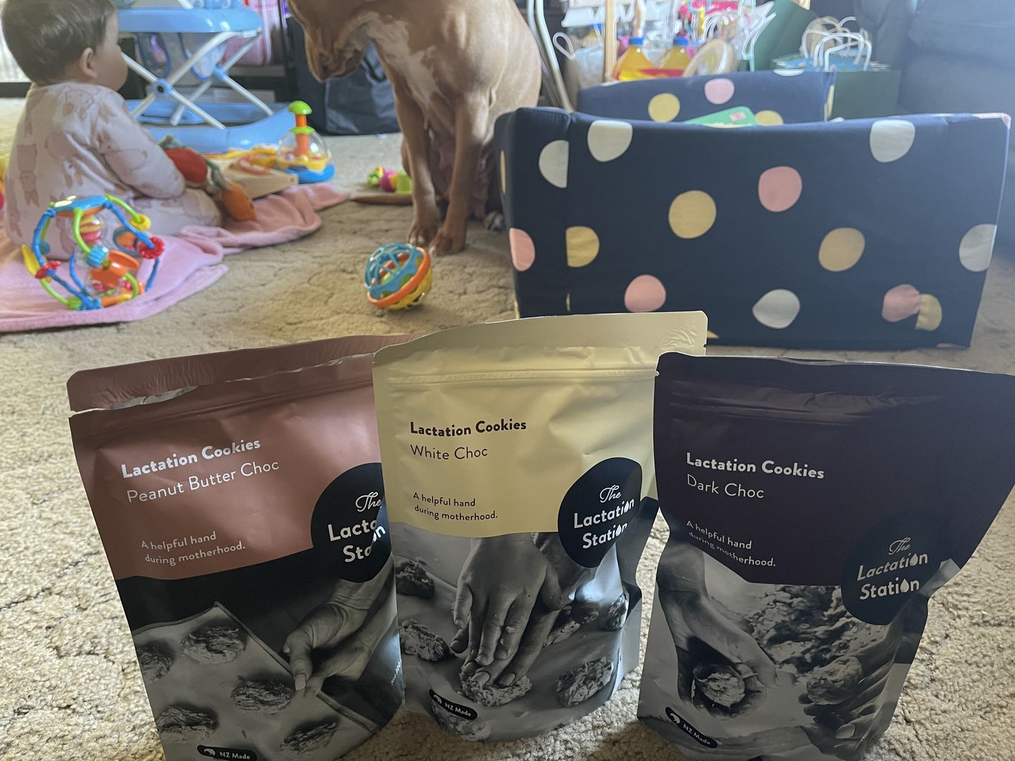 Customer photo review of Peanut Butter Choc Lactation Cookies