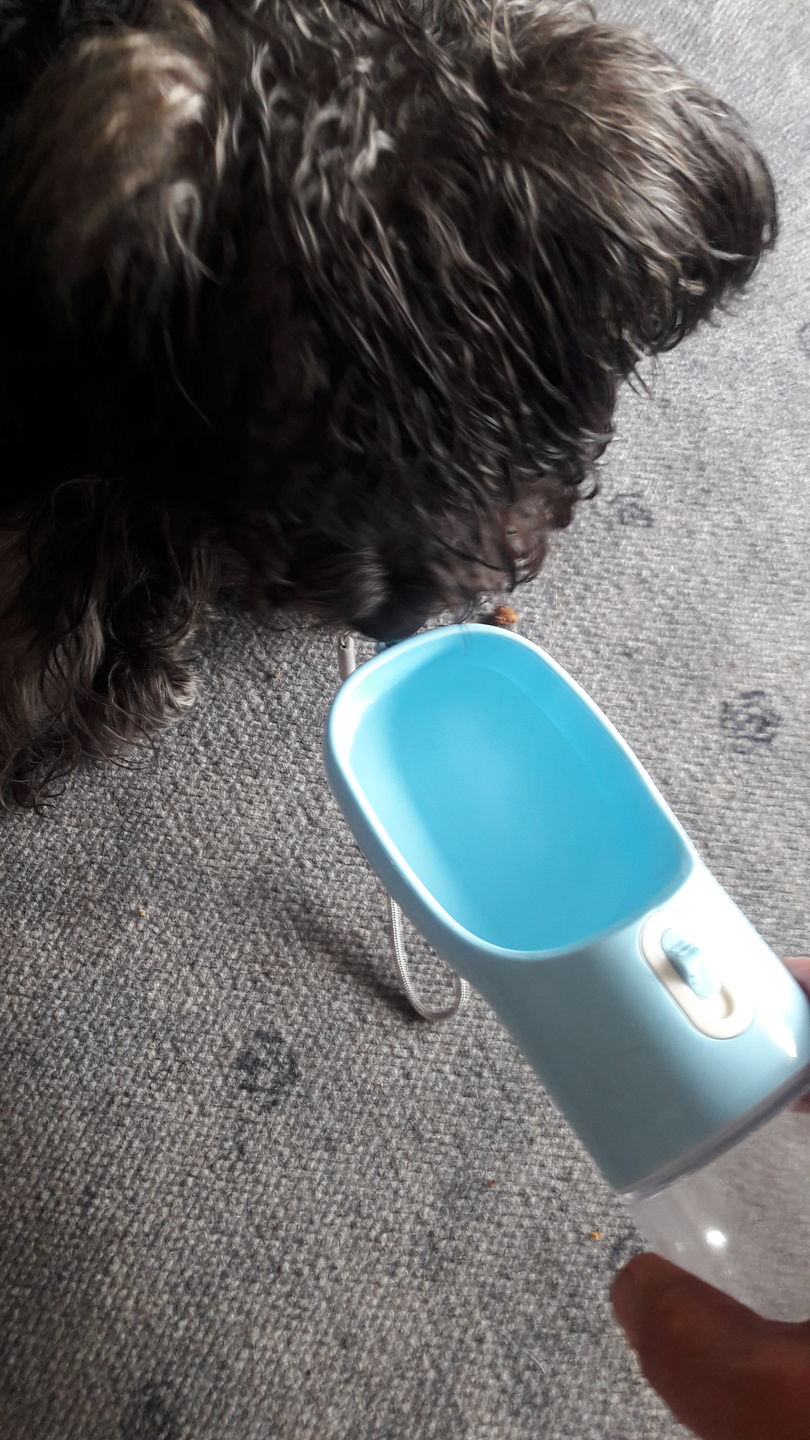 Customer photo review of Hunde Trinkflasche inkl. Futterbehälter