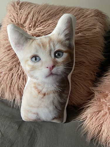 Customer photo review of Create A Custom Cat Pillow