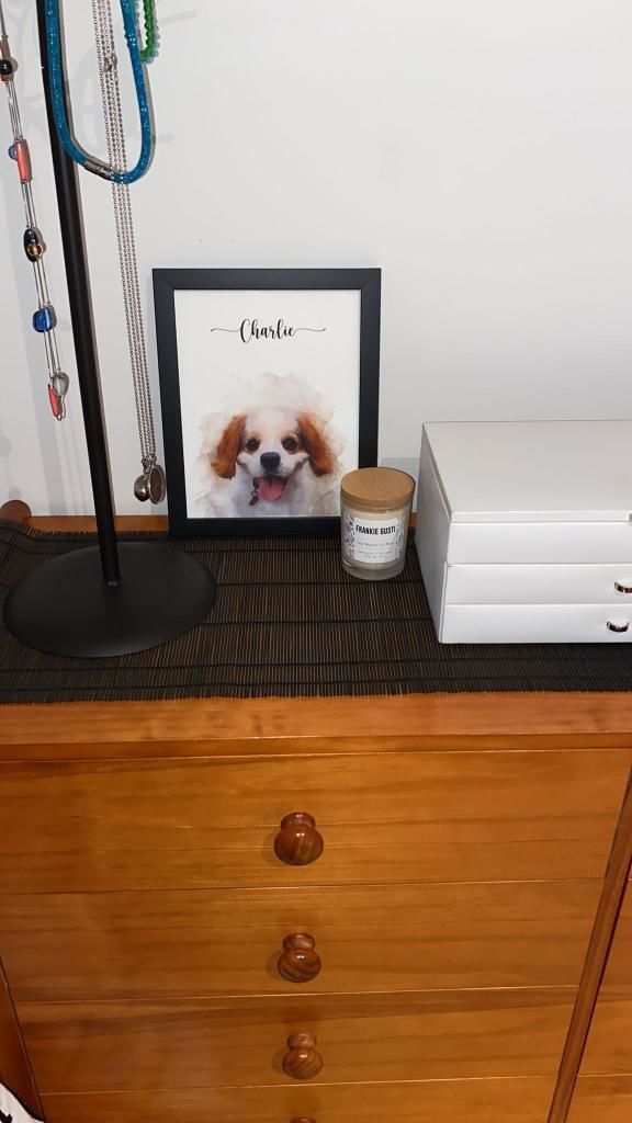 Customer photo review of Custom Pet Portrait