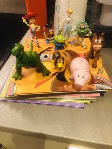 Customer photo review of Colección "Clásicos de Toy Story 4": 9 figuras + 9 cuentos