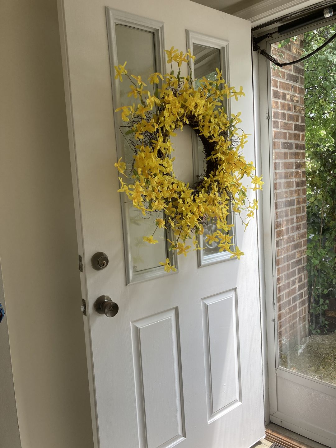 Customer photo review of Clear 1 Lite Glass and Frame Kit (Half Sidelite 8" x 36" Glass Size)