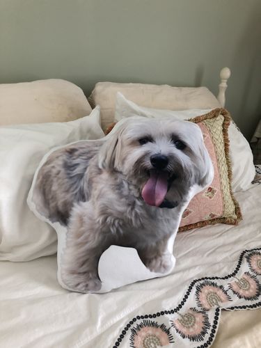 Customer photo review of Create A Custom Dog Pillow