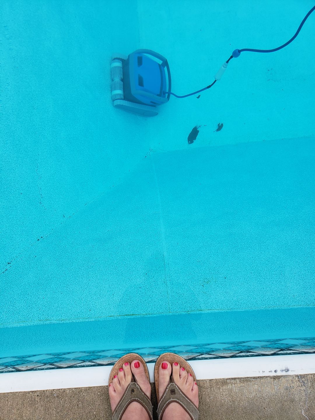 Customer photo review of Maytronics Dolphin M600 Robotic Pool Cleaner
