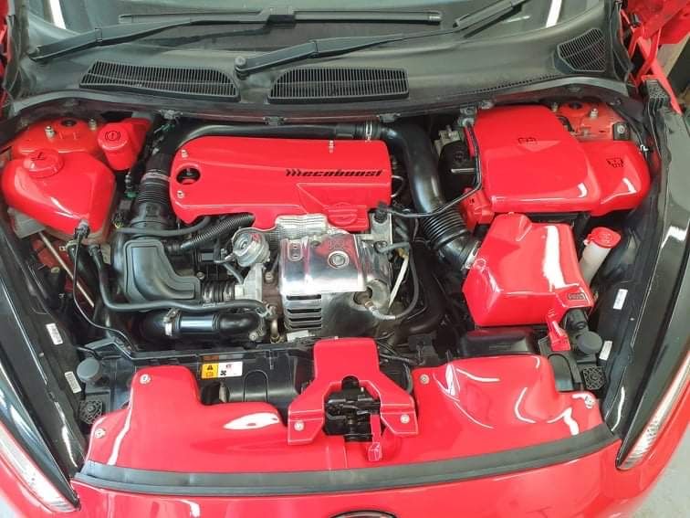 Customer photo review of Proform Bonnet Catch Plate Cover (various colours) - MK7.5 Fiesta