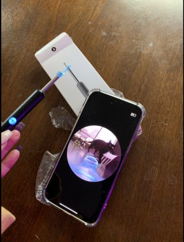 Customer photo review of Ear Wax Removal Tool With Camera For Visual Ear Cleaning