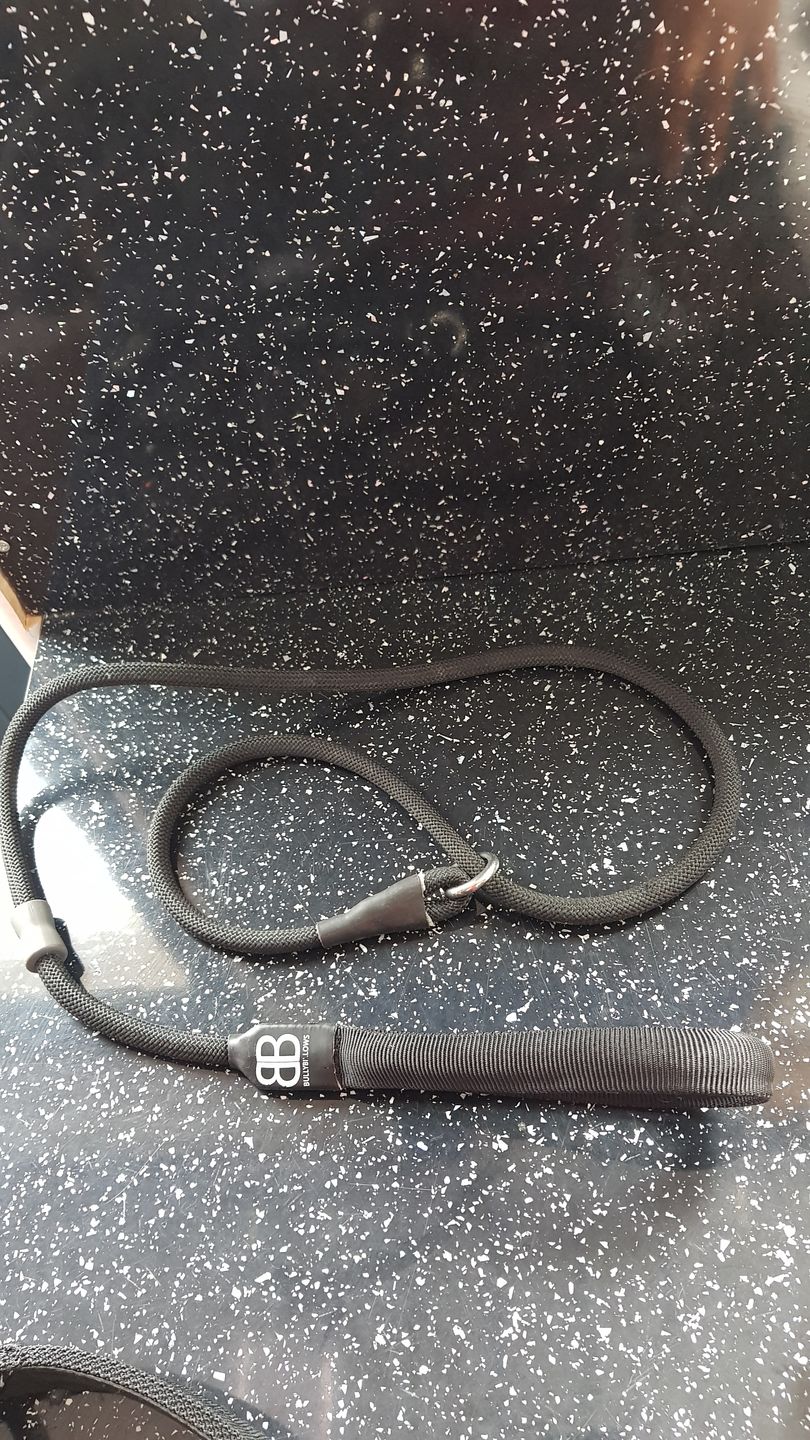 Customer photo review of Slip Lead | Anti-Pull & Anti-Choking Training Lead - Black v2.0