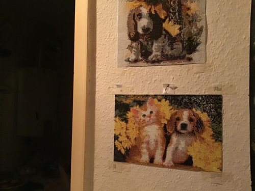 Customer photo review of Diamond Painting - Hund und Katz
