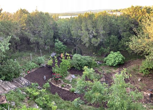 Customer photo review of Dog Silencer® MAX