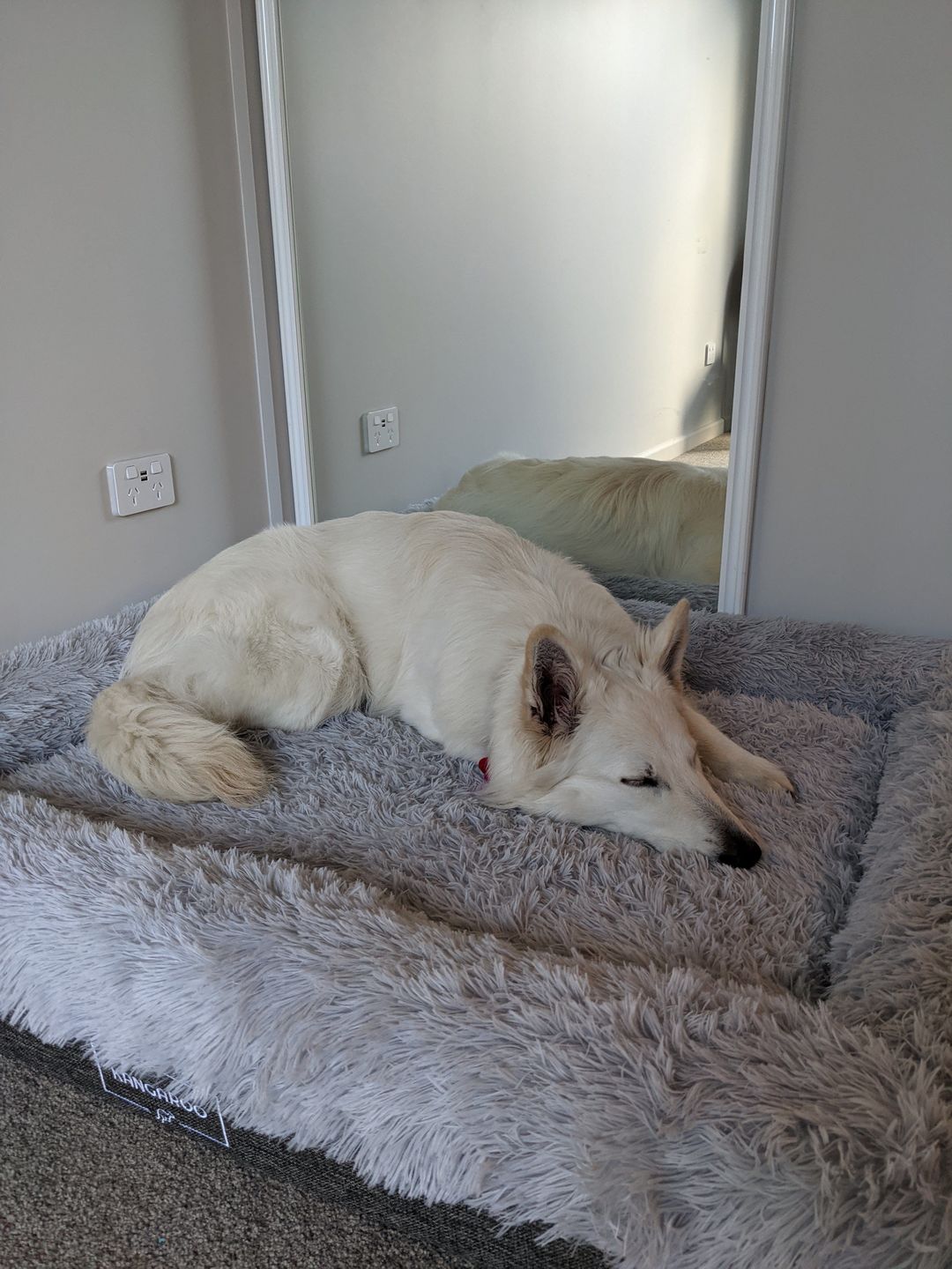 Customer photo review of Calming Bed Cover for Kangaroo Bed