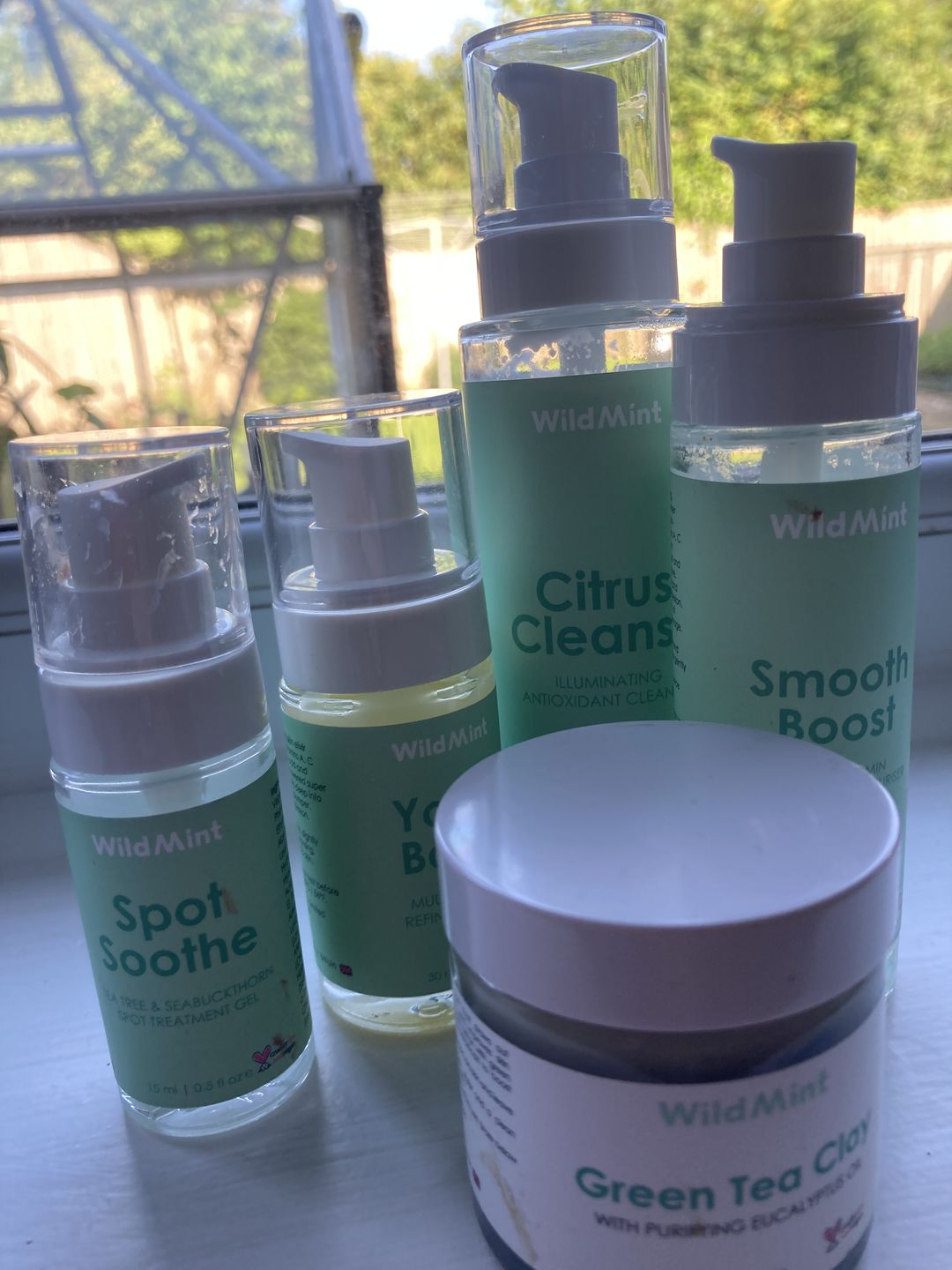 Customer photo review of Citrus Cleanse