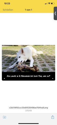 Customer photo review of Personalisierbares -Foto- Schild mit Text