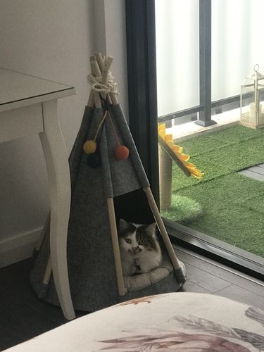 Customer photo review of Felt Warm Wool Cat Nest Tent House
