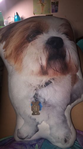 Customer photo review of Create A Custom Dog Pillow