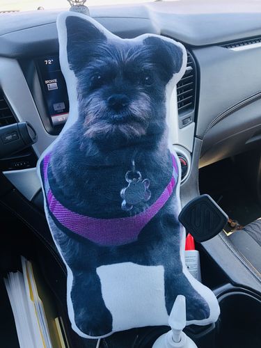 Customer photo review of Create A Custom Dog Pillow
